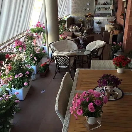 Oliver's Sassari
